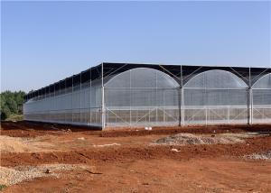 China Galvanized Steel Frame Plastic Film Greenhouse Good Insulation Performance factory