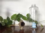 Screw Cap 60ml PETG Flavoured Hand Sanitiser Bottle