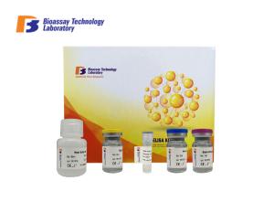 China 48 Hours Lead Time Mouse ELISA Kit With Pre - Coated ELISA Plate factory