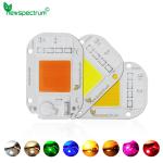 Thermal Resistance 50w Cob Led Chip 50HZ For Spotlight Floodlight