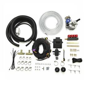 China Car CNG LPG Conversion Kits For 4 Cylinders Sequential Injection System factory