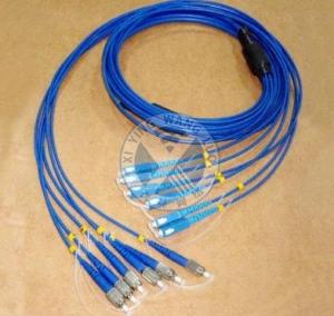 China Multi-core armoured fiber optic patch cord Anti-rodents with Blue LSZH jacket factory