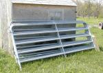 Horse Round MINIATURE 4-RING HORSE ROUND BALE FEEDER