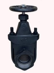 China clip gate valve factory