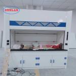 Wall Mounted Perchloric Acid Fume Hoods Low Noise Level Durable