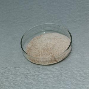 China Food Grade Flavourzyme Novozymes For Protein Peptide Processing , Weakening Bitterness factory