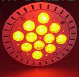 China Warm white color spotlight LED PAR38 factory