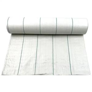 China Alkali Resistant PP Woven Geotextile Fabric Roll For Driveway And Road Stabilization factory