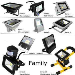 China Waterproof Outdoor LED Flood Lights china factory