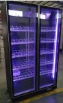 BAR AND NIGHTCLUB DEDICATED WINE DISPLAY FREEZER VERTICAL REFRIGERATOR