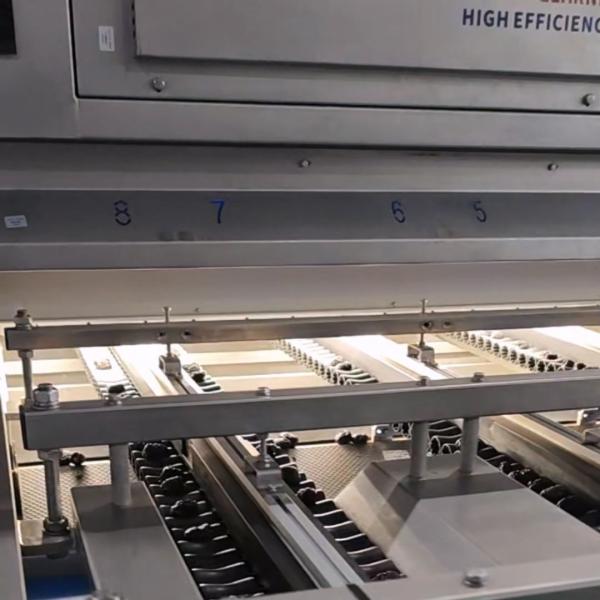 Smart Dates Sorting Machine With AI-powered Detection, 6 lanes+10 outlets, 1.8