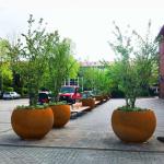 Gardening In Raised Beds Customized Round Corten Steel Planter Boxes Growing