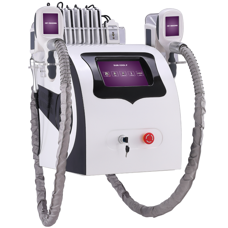 DM-55-1 Skin Tightening 360 Cryolipolysis Slimming Machine 50KHZ Anti Cellulite