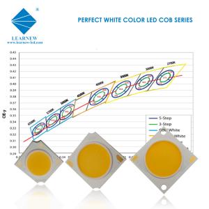 China High CRI Flip LED Chip 1313 1919 2828 High Power 5w 100w 200w 36v White factory