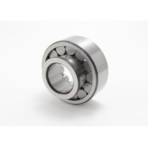 SL192305 SL192311 Single Row Bearings Semi Locating Cylindrical Roller SL192320