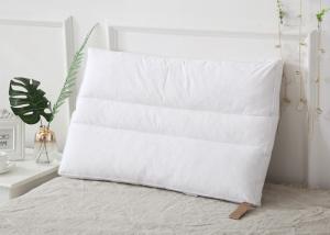 China 100% Cotton Downproof 100g 40s Goose Down Pillows factory