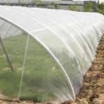 Low Cost Agricultural Greenhouse Anti Insect Proof Plastic Net