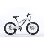 20" Children Bicycle Kids Bike Single Speed Bicicleta With Steel Suspension Fork