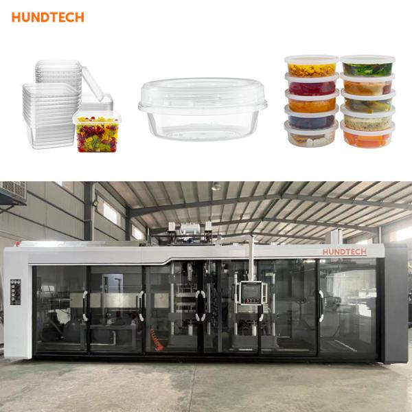 Biodegradation 2mm Lunch Plastic Container Making Machine Pvc Thermoforming