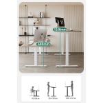 710mm Dual Motor Electric Sit Standing Study Table for Modern Luxury CEO Office