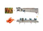 380v 50hz 10.1kw 1500kg/H Dehydrator Fruit Dryer Machine