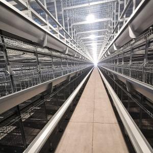 China Q235 Chicken Cages Poultry Farming Equipment 3-6mm Thickness factory