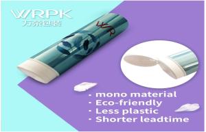 China D40mm 70-180ml Mono material cap tube integrated plastic reduction factory