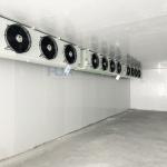 200 Square Meters Air Condensing Unit Polyurethane Panel Cold Storage System