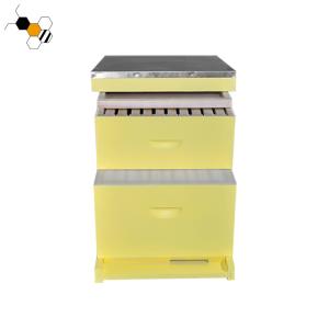 China Painted 10 Frames Bee Farm 2 Layers Langstroth Beehive factory