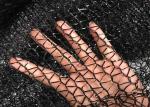 Agricultural Use Black Sun Shade Net Strong Tensile Resistant / Shading Rate 60