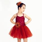 Children'S Tutu Skirts Wine Red Sequin Bodice Dress Matching Flowers Trim