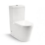 Sanitary Ware Bathroom Washdown Two piece Toilet with 10cm/4inch diameter outlet