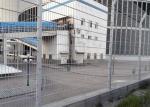 Galvanized Powder Coated 868 Welded Wire Mesh Fence For Football Field