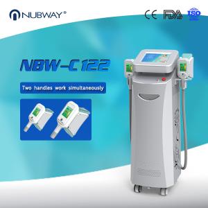 China Cryo Machine Weight Loss Fat Freezing Cryolipolysis Slimming Machine factory