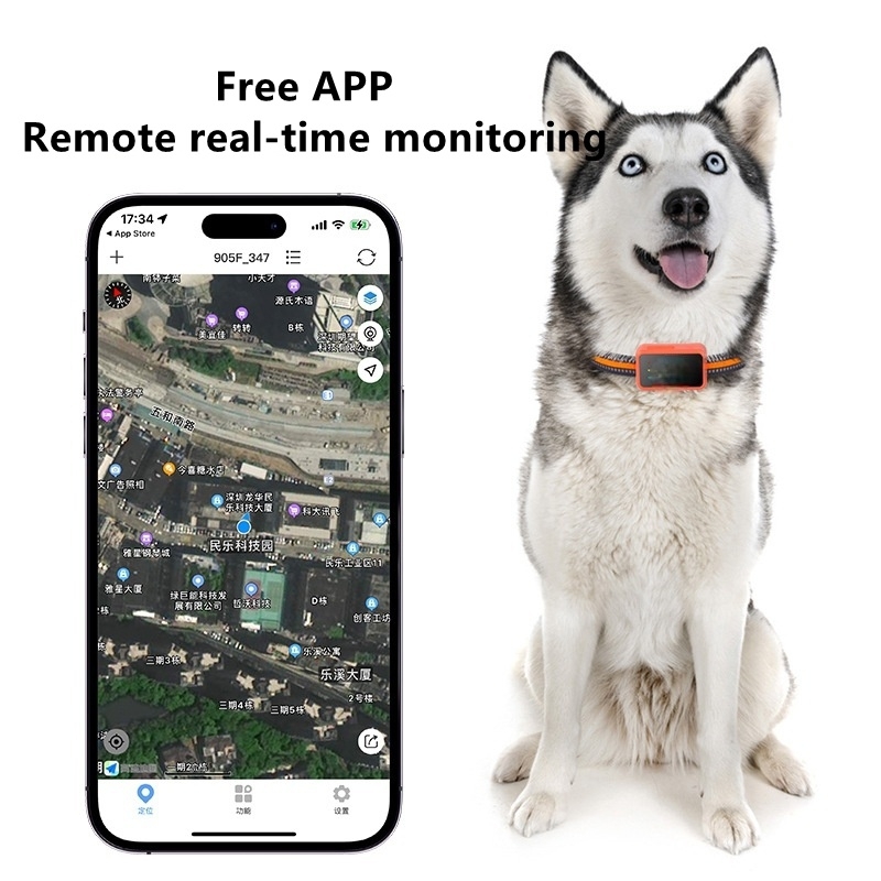 Real Time Tracking Dog Cat GPS Tracker Collar Global Coverage Waterproof Pet Friendly