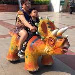 Realistic Triceratops Dinosaurs Walking Realistic Dinosaur Remote Control