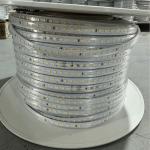 220v High Light Led Strip Lights 100m/Roll Single Color for Indoor/ Outdoor/