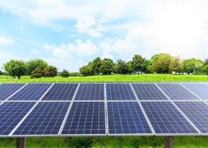 China 18.3 Kg Second Hand Yingli Solar Panels 1640 × 990 × 35 Mm Format factory