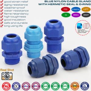 China Blue Plastic M20 Cable Gland, IP68 Waterproof Adjustable 6-12mm Cord Gland Cable Fitting for Lighting Fixture factory