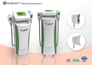 China Cold lipolysis / cryolipolysis slim equipment factory