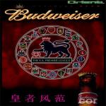 outdoor flashing light OEM service advertising el poster