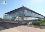 Modern Agricultural Steel Buildings Customized Steel Structure Greenhouse
