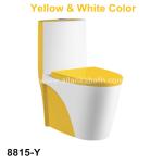 Middle East Hot Sale Bathroom Sanitary Ware Ceramic 250mm Roughing-in Washdown