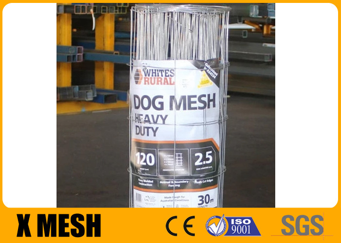 China 1''X2'' Stainless Welded Wire Mesh factory