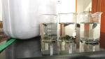 Wastewater Treatment Cationic Polyacrylamide CAS No 9003-05-8 SGS Certification