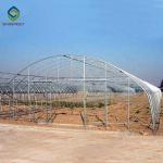 0.5KN/M2 Clear Polythene 4m Single Tunnel Greenhouse