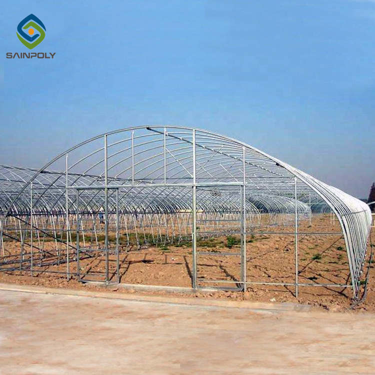 China 0.5KN/M2 Clear Polythene 4m Single Tunnel Greenhouse factory