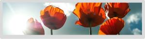 China 16.7m Lvds Panel LCD 24 Inch 1920x360 Ips Viewing Angle RGB 30 Pin Display factory