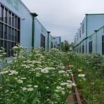 40ft Concrete Prefab Container Houses Assembled Fat Pack Design with Online