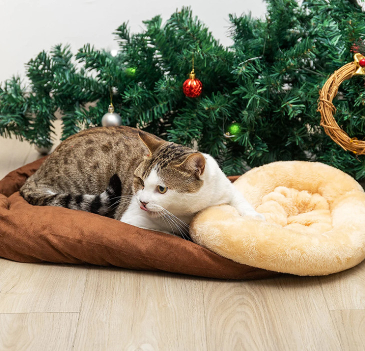 cat pocket bed